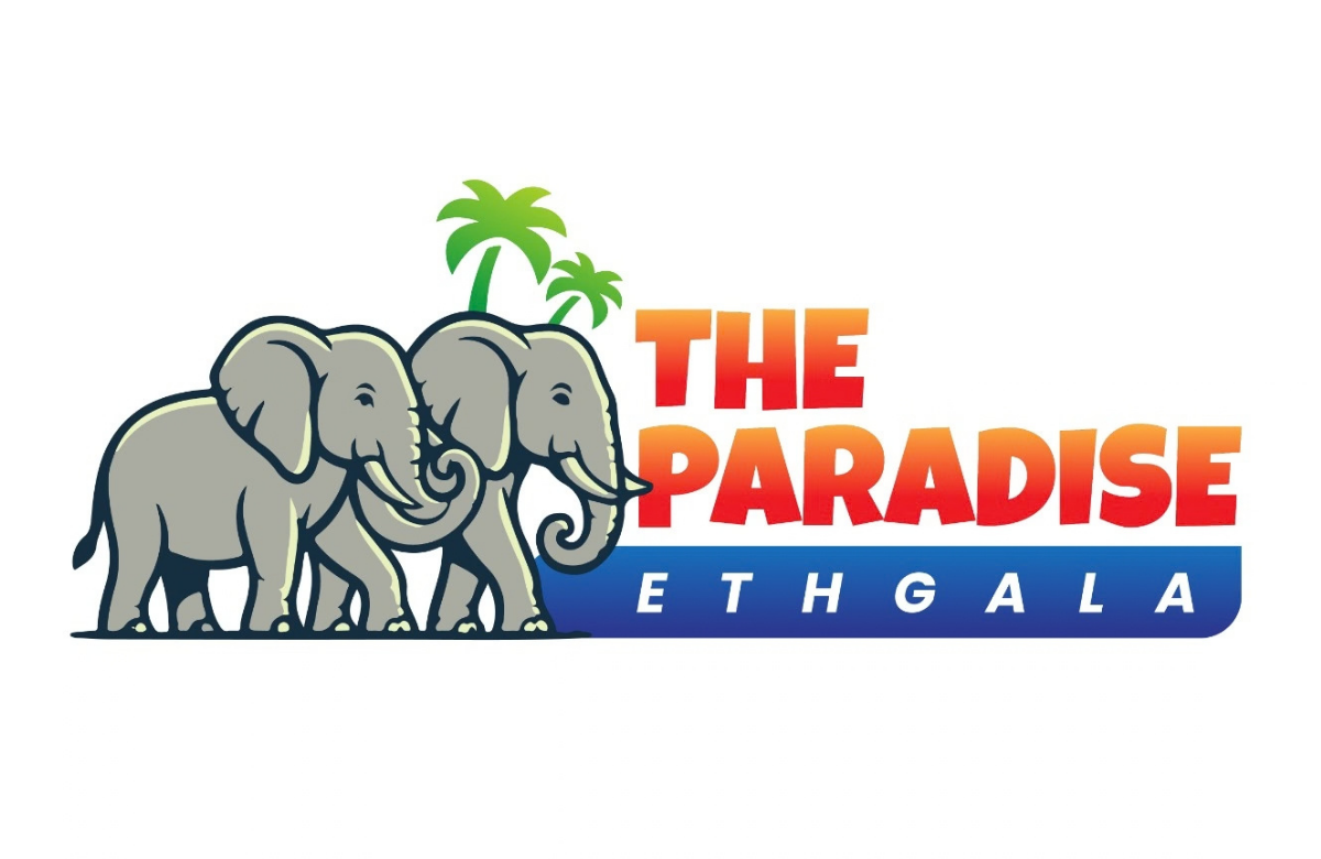 The Paradise